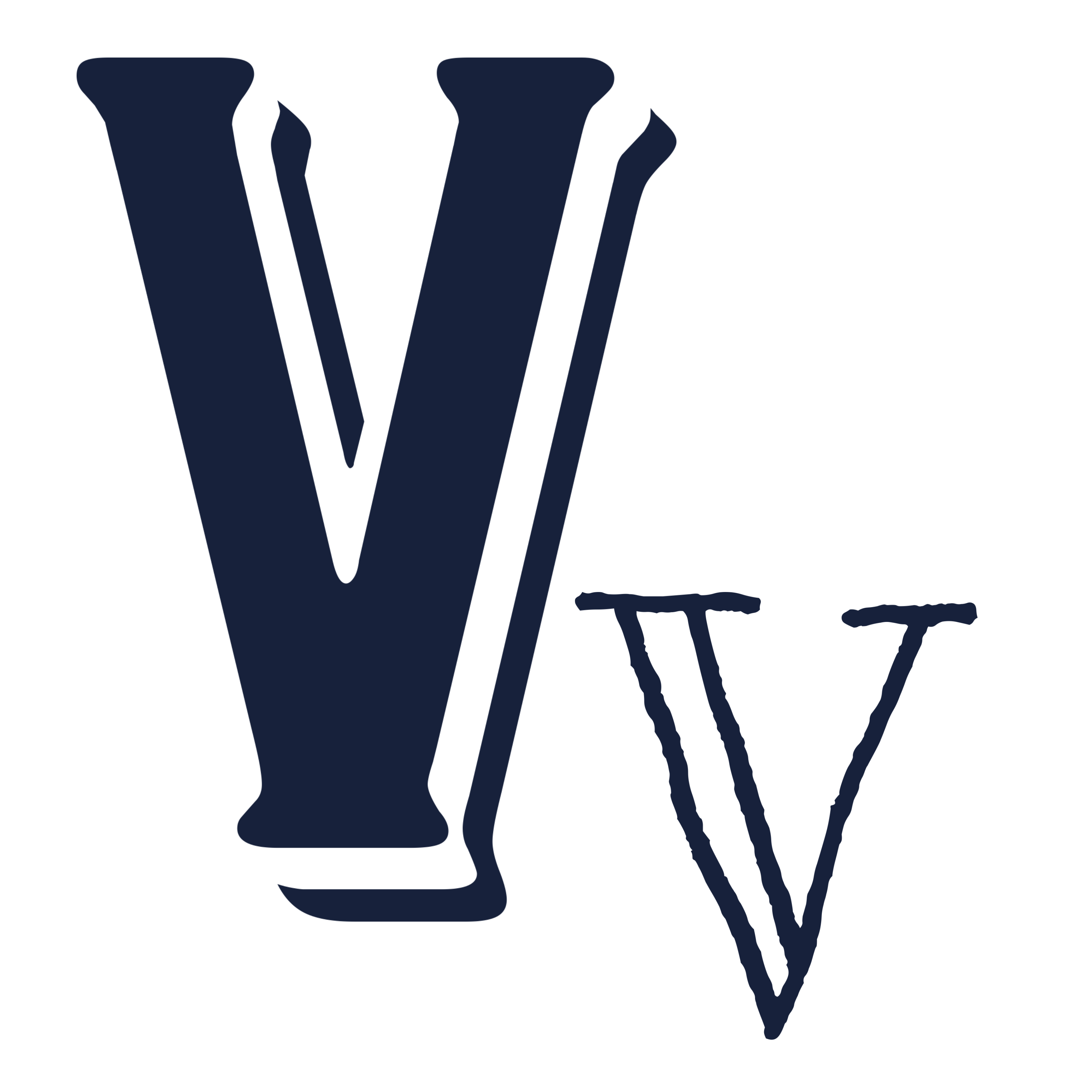 Vintage Vault Logo